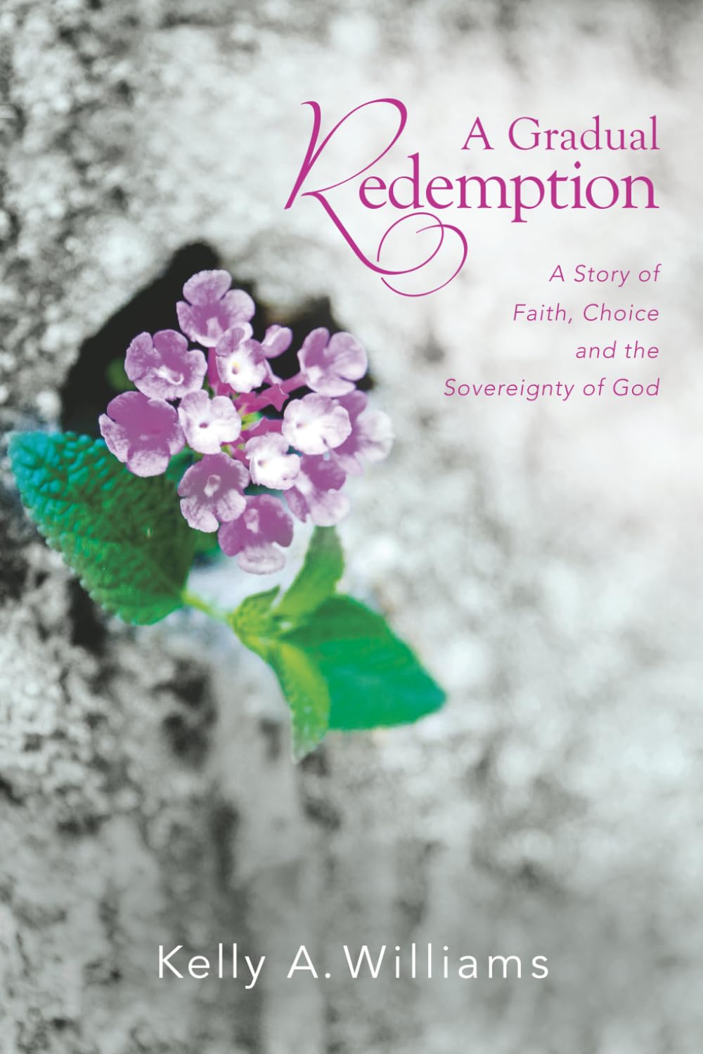 A Gradual Redemption: A Story of Faith, Choice and the Sovereignty of God