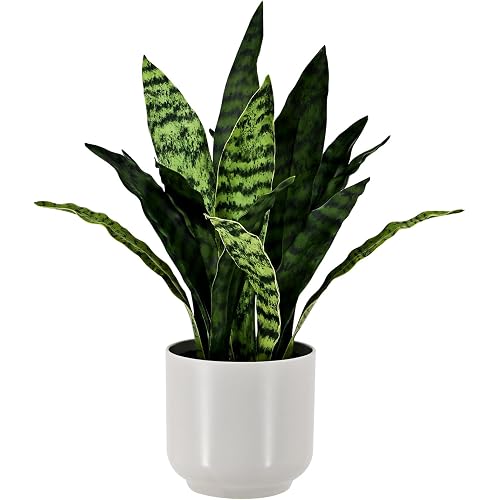 Faux Snake 19” Tall Artificial Plant Indoor for Home Decor