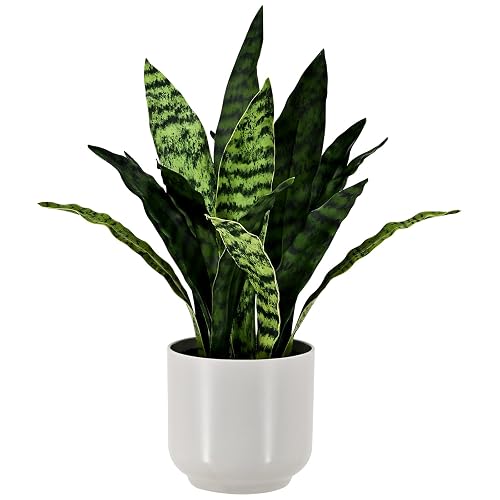 Faux Snake 19” Tall Artificial Plant Indoor for Home Decor