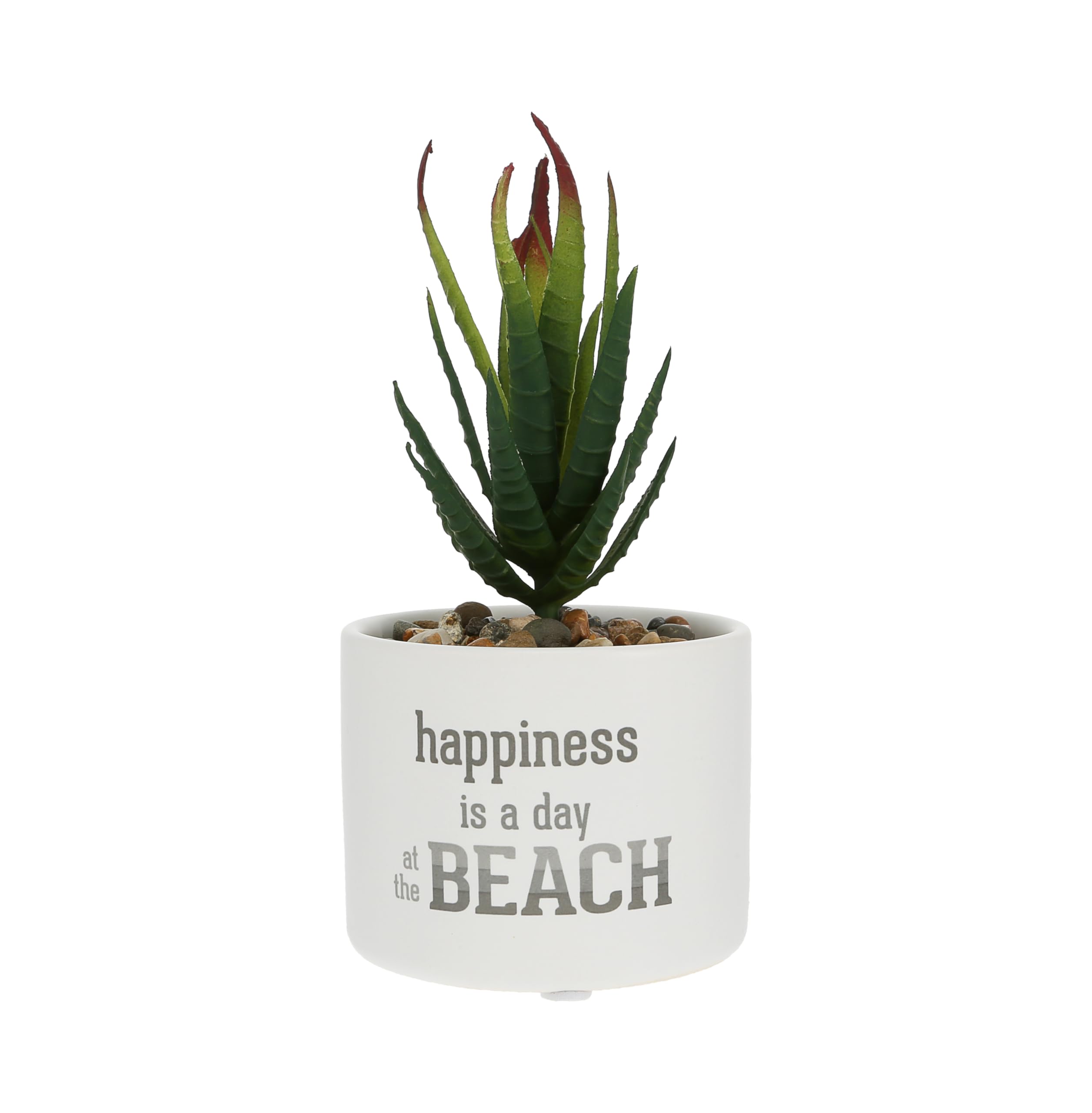 Pavilion - Beach - Mini 6.25" Tall Indoor Faux Fake Artificial Succulent House Plastic Potted Plant Planter Shelf Decor Waterfront Coastal Seaside Ocean Decoration