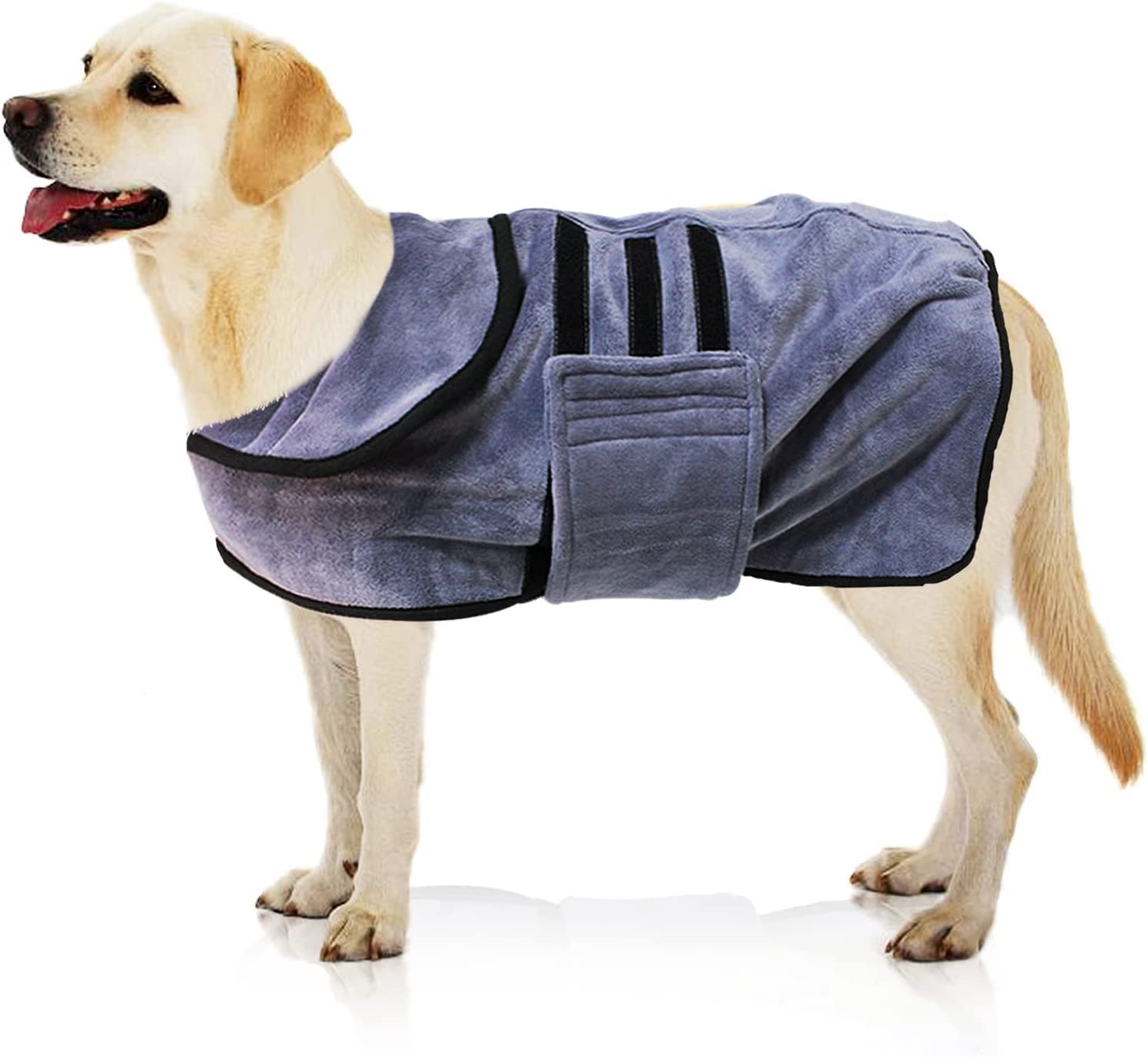 maleficent costume dog