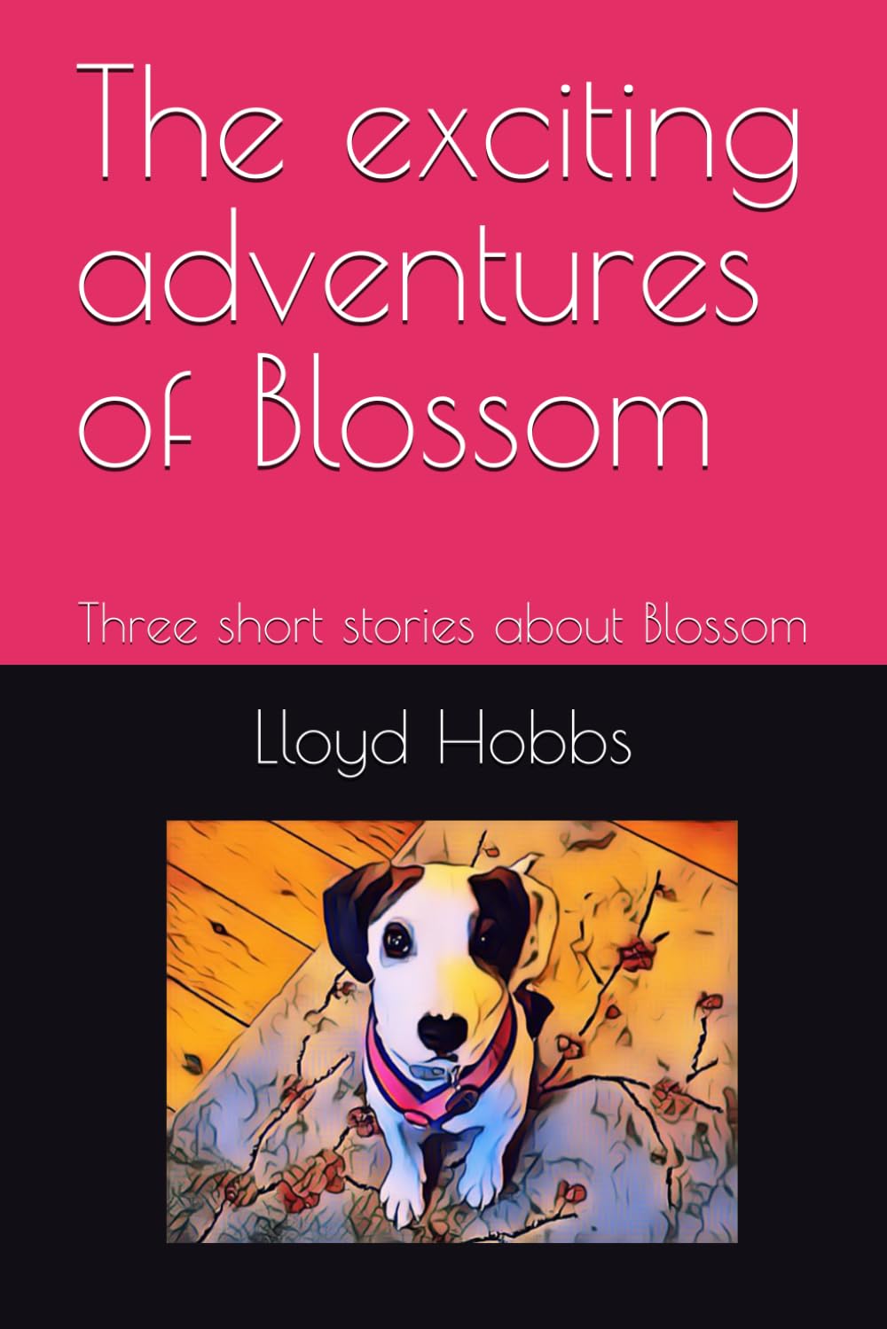 The exciting adventures of Blossom