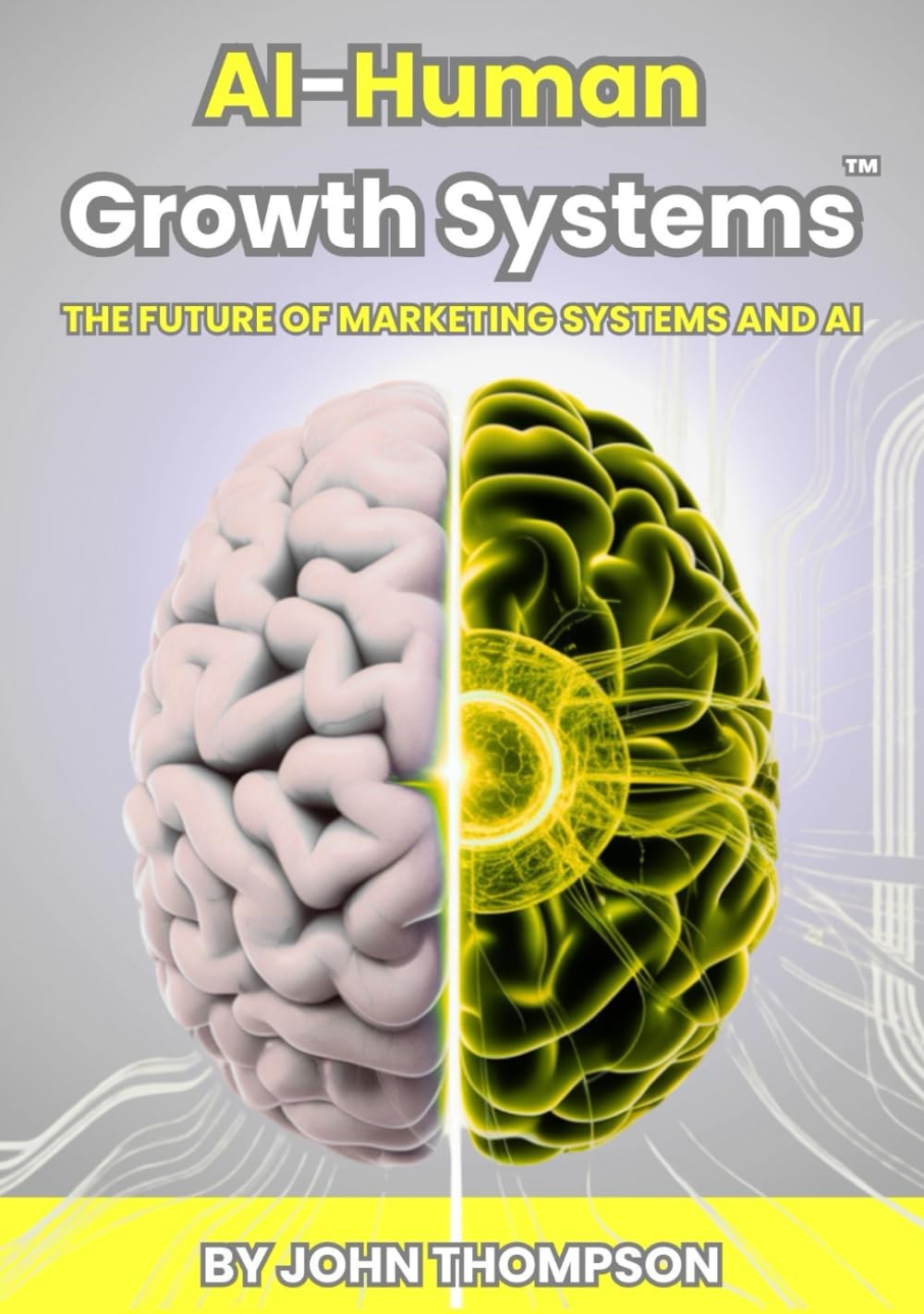 AI-Human Growth Systems™: The Future of Marketing Systems and AI