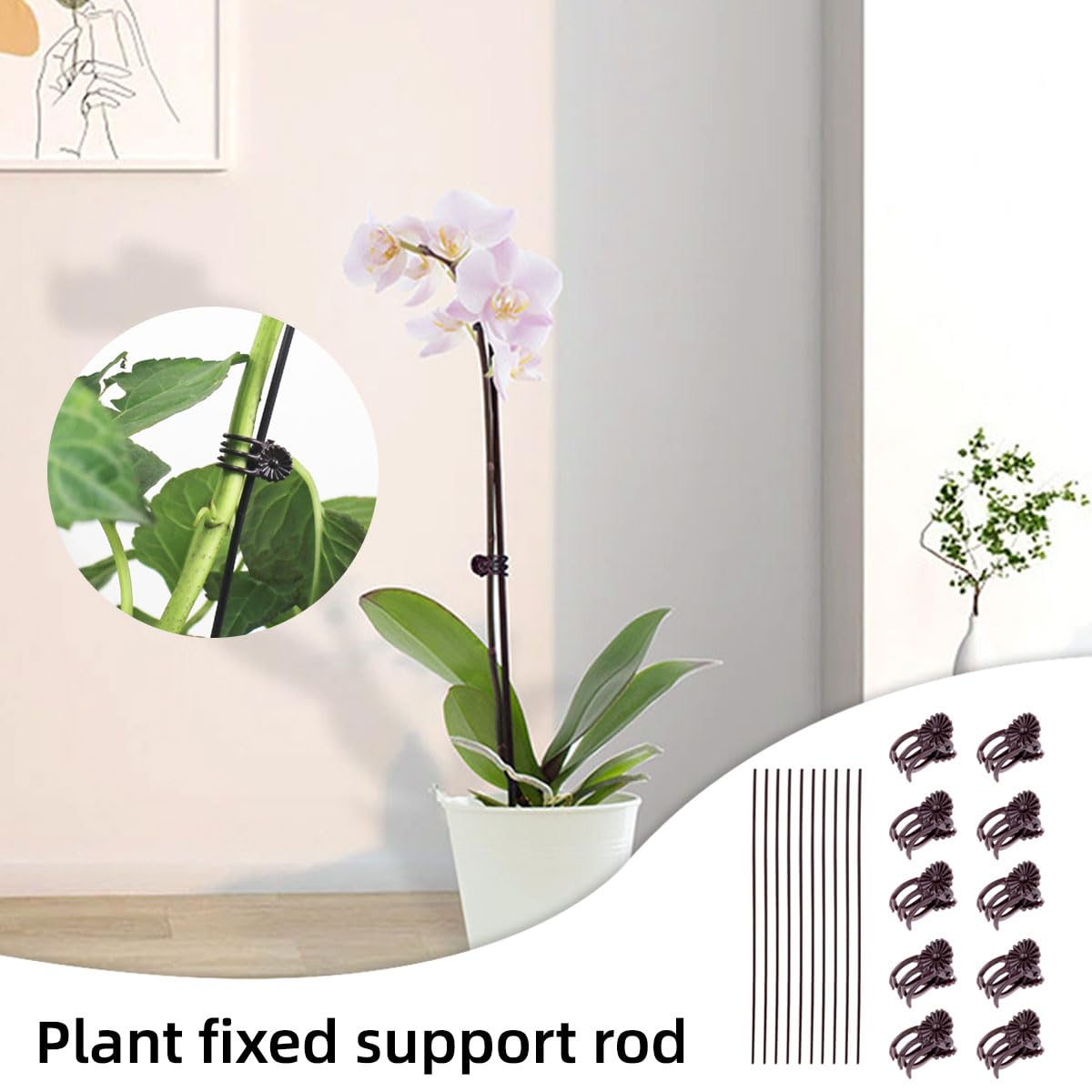 Lot De 20 Pinces à Orchidée Pour Plantes Grimpantes, Clips De