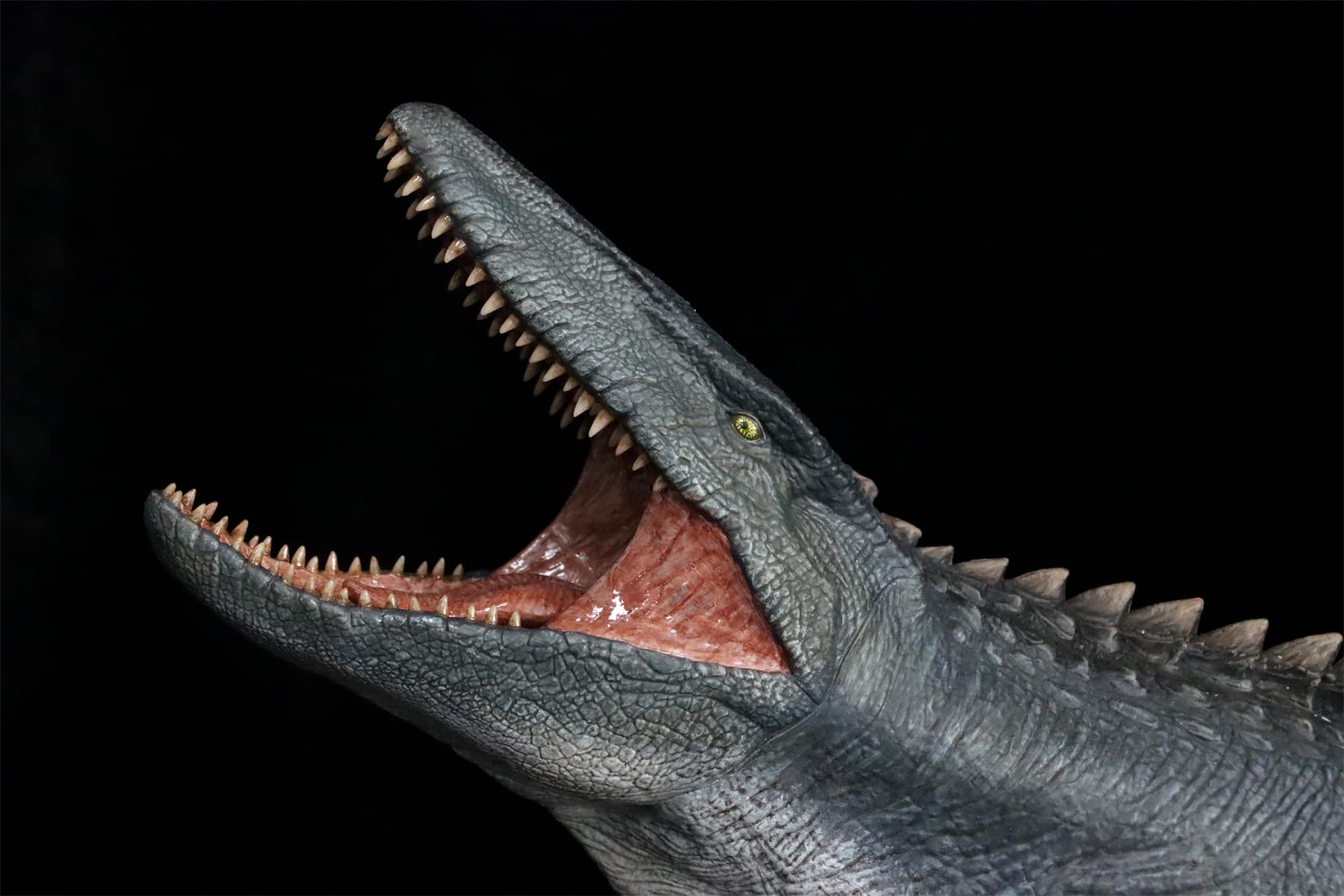 Replacement Base For Nanmu Mosasaurus 2.0 Leviath Lord Of Abyss Model – Display Stand Only (Color A)