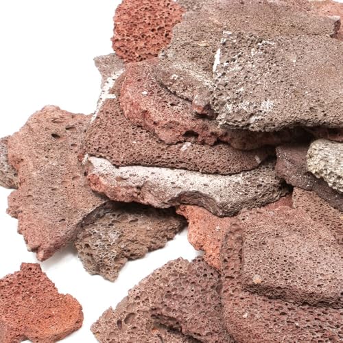 `󂨔C gn XCX TCY~bNX R ANAE CAEgf n