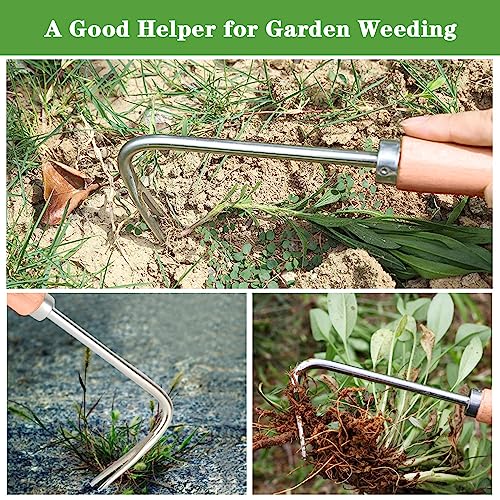 BOOLOOEN Unkrautentferner Aus Edelstahl | Manueller Unkrautzieher Mit Griff | Gartenwerkzeug Für Beete & Gehwege