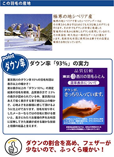 Amazon | 【東京西川】DAYandDAY～デイアンドデイ～ シベリア産