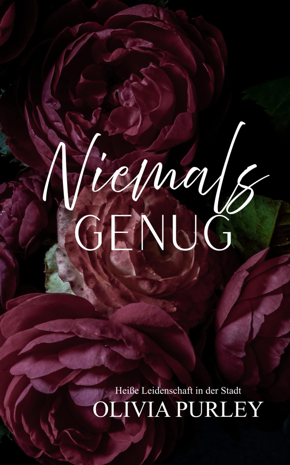 Niemals Genug (Heiße Leidenschaft in der Stadt)