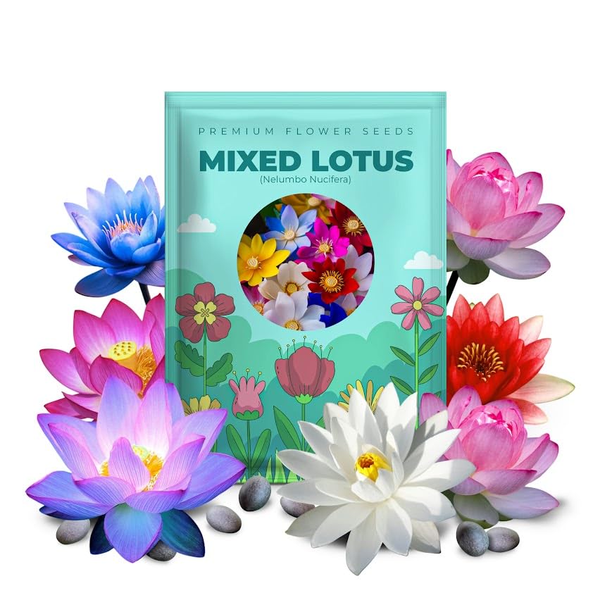 PIPA PAPA 100 Mixed Bowl Lotus Seeds