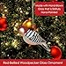 Cobane Studio LLC COBANEC391 Red Bellied Woodpecker Ornament