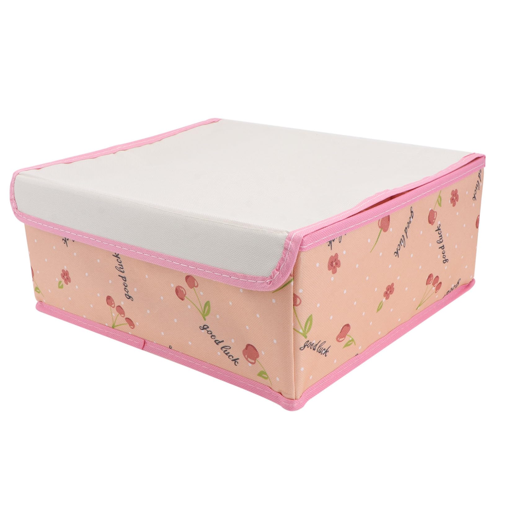 GALPADA 1pezzi Scatola Portaoggetti Scomparti Organizer per Calzini e Biancheria Intima Custodia per Biancheria Intima Custodia per Reggiseni Scatola Portaoggetti
