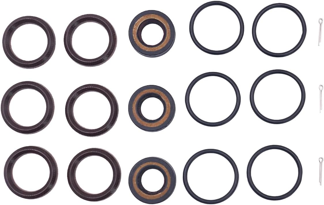 Seal Kit for Cat Pumps Series 4SF, P/N 34054