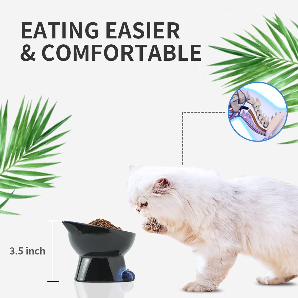 Buy Nihow Slanted Elevated Cat Bowls 5 Inch Ceramic Raised Cat Food