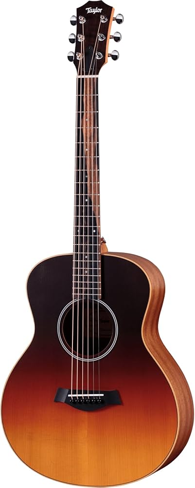 Amazon.com: Taylor GS Mini-e Special Edition Acoustic-electric