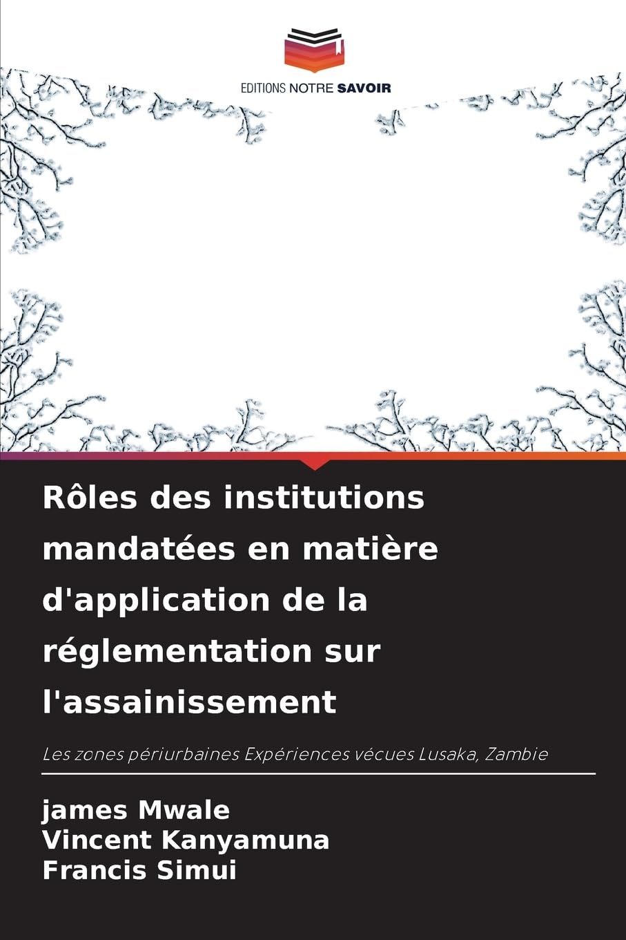 Rôles des institutions mandatées en matière d'application de la réglementation sur l'assainissement: Les zones périurbaines Expériences vécues Lusaka, Zambie
