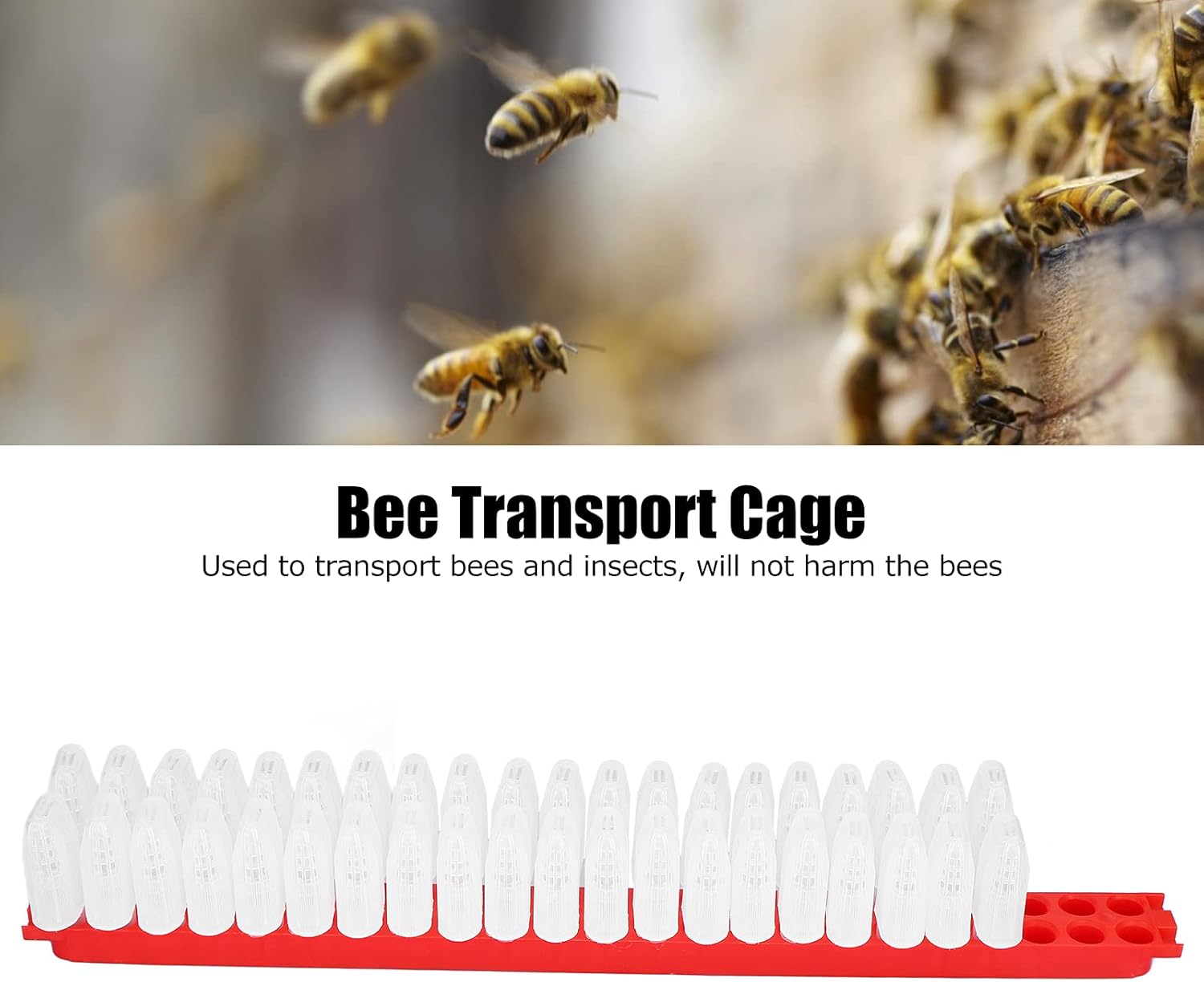 女王蜂ローラーケージ 46個 - プラスチック養蜂飼育カップキット 女王蜂ローラーケージ 飼育カップホルダー 養蜂ツール