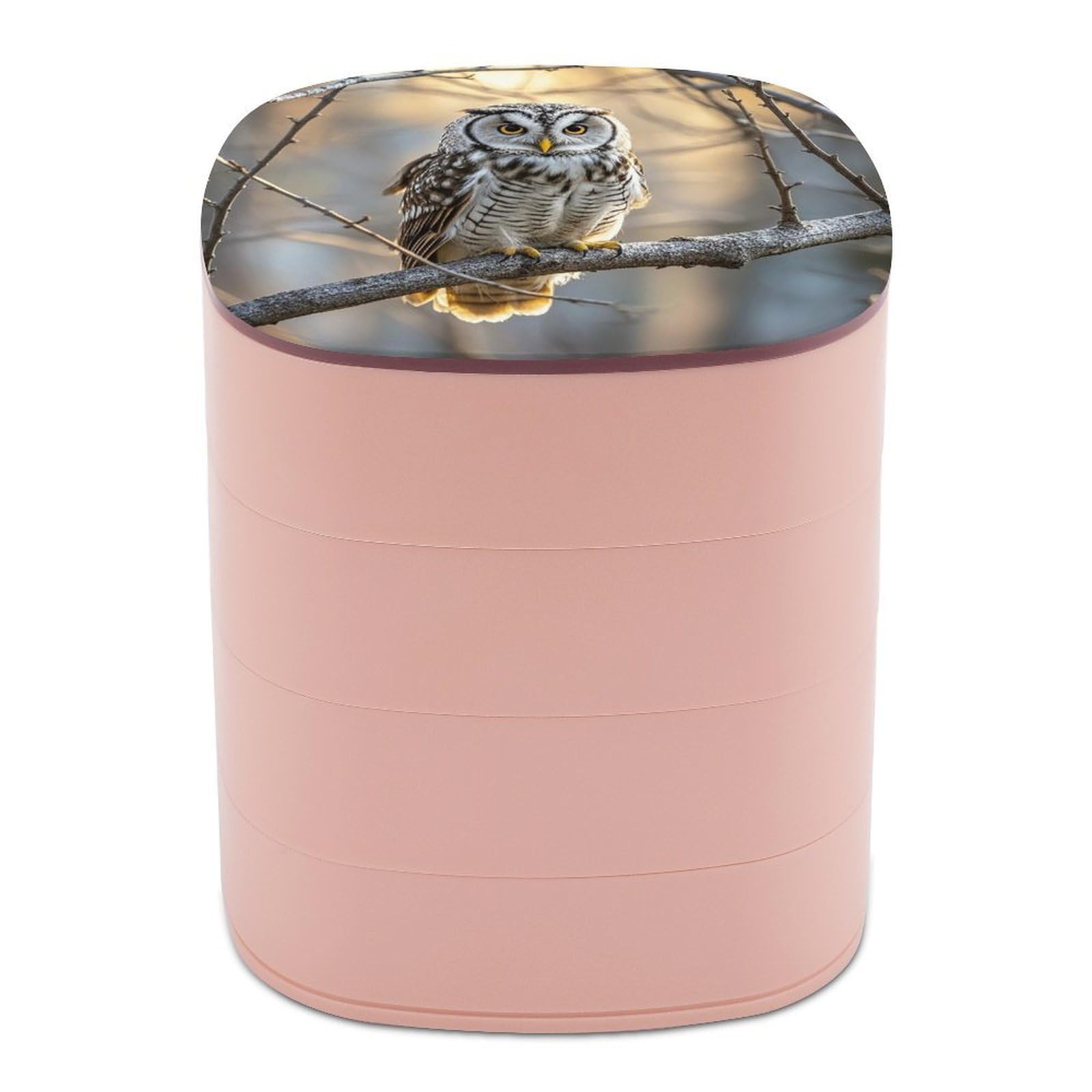 VstaDank Owl on A Branch Jewelry Box with Mirror Travel Small Jewelry Case for Women 4-Layer Rotatable Jewelry Organizer Storage Box Portable Jewelry Storage Case for Rings Earrings