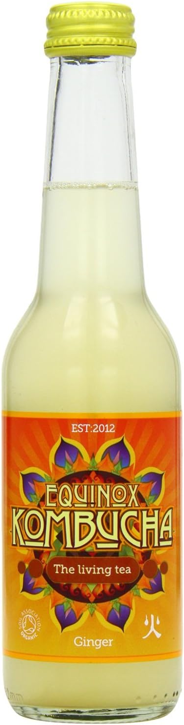Equinox KombuchaGinger The Living Tea Drink (275Ml) (Pack of 20)