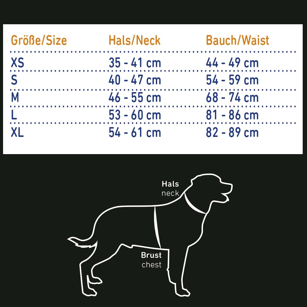 Nobby 61031 Hunde Schwimmhilfe Sharki hellblau Größe: S, 30 cm