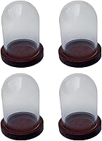 Vista 2 de Cúpula de cristal Cloche Cúpula transparente para casa de muñecas, decoración de micro paisaje, campana de cloche, vitral, cubierta de flores