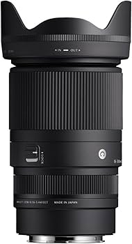 Amazon.com : 16-300mm F3.5-6.7 DC OS | Contemporary : Electronics