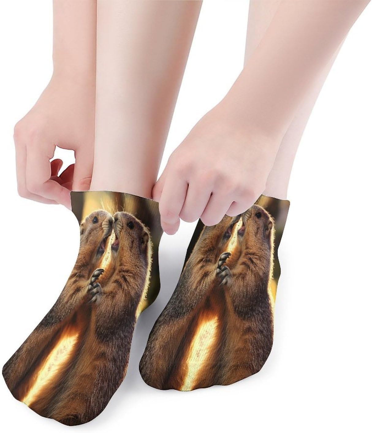 Two Marmots Sunset 5 Pairs Low Cut Ankle Socks Casual Liner Sock No Show Invisible Socks for Men Women