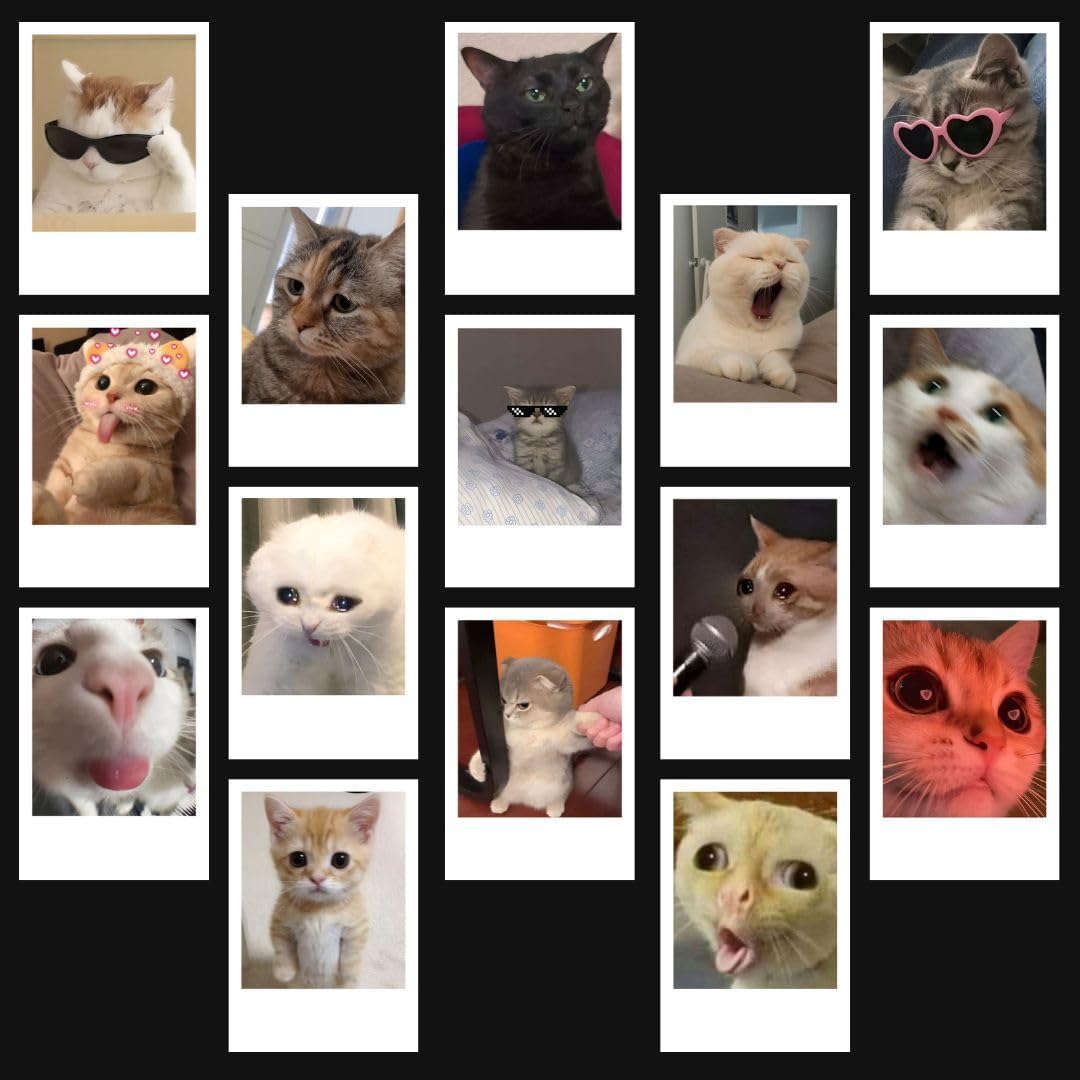 Cat Memes | Cute Cat PFPs Mini Poster Kit (Set of 15) | Cute Cat Memes & Cat PFPs Size (8 x 6 cm) Posters for Phone Accessories, Bedroom, Office, room decoration