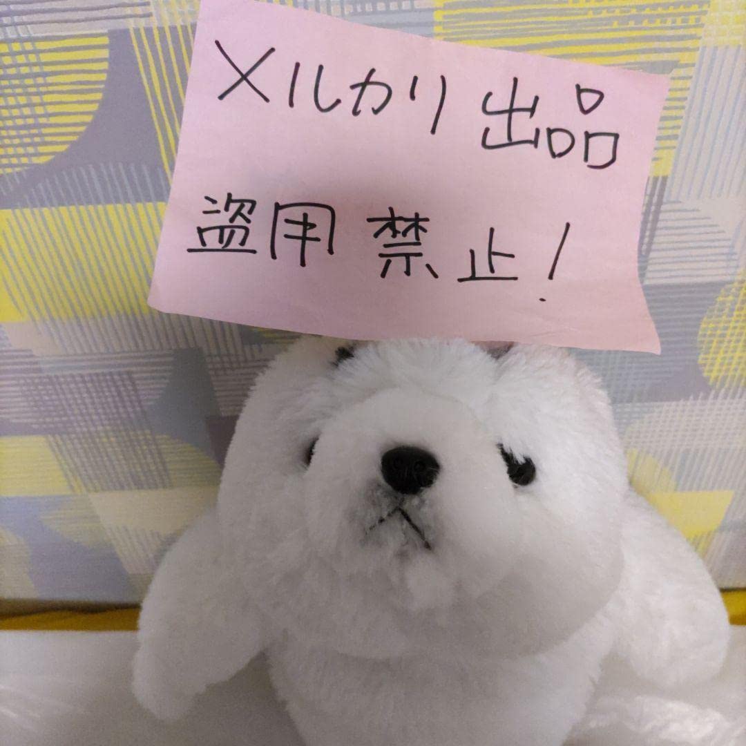 Amazon.co.jp: サンレモンひざシリーズ限定生産終了 ひざ