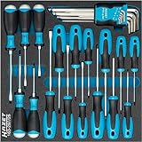 LEVERINGSSET: 1x HAZET Torx gereedschap 1557/21 | 21-delige set | Uitgang: extern Torx profiel, intern: Torx profiel | Aandrijving: vierkant hol 10 mm (3/8 inch) | Breedte over vlakken: E5 - E14, T15 - T50 | Plastic doos 165-L | Afmetingen: 35,51 x 23,5 x 6,5 cm | Gewicht: 2,2 kg