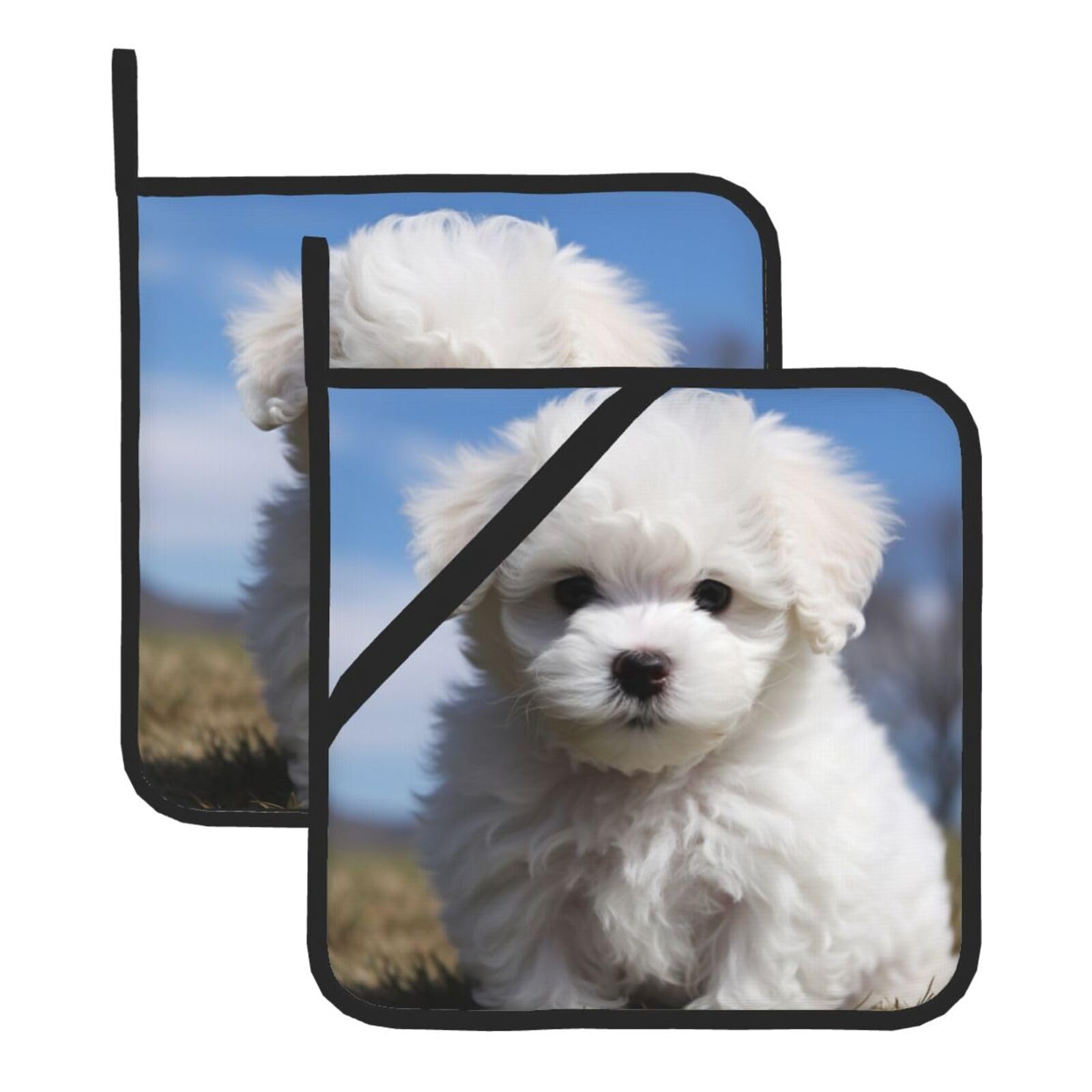 2Pcs Pot Holders for Kitchen Heat Resistant Potholder Bichon Frise Dog Hot Pads for Countertops Oven Pot Holders for Cooking Baking Kitchen Hot Mat Trivet 8 inch Hot Pad