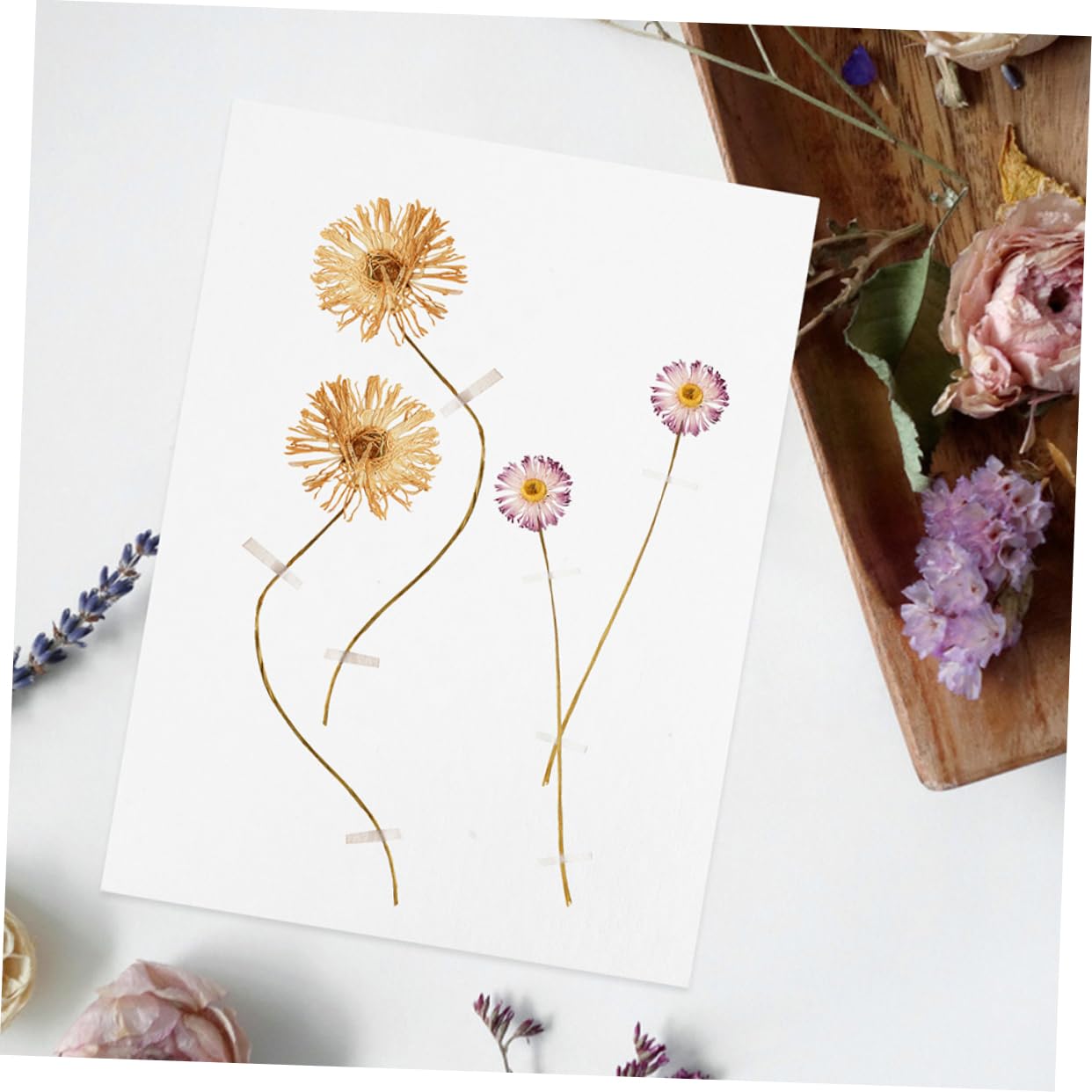 DIYEAH 5juegos Kit Profesional De De Flores De Para Secar Accesorios Para Manualidades Placas Resistentes y Papeles Secantes Para Tarjetas y Decoraciones
