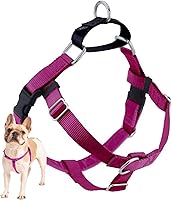 2 Hounds Design Freedom No-Pull Dog Harness - Adjustable, Swiss Velvet Lined, Made in USA - Large Raspberry for Easy Control Walks