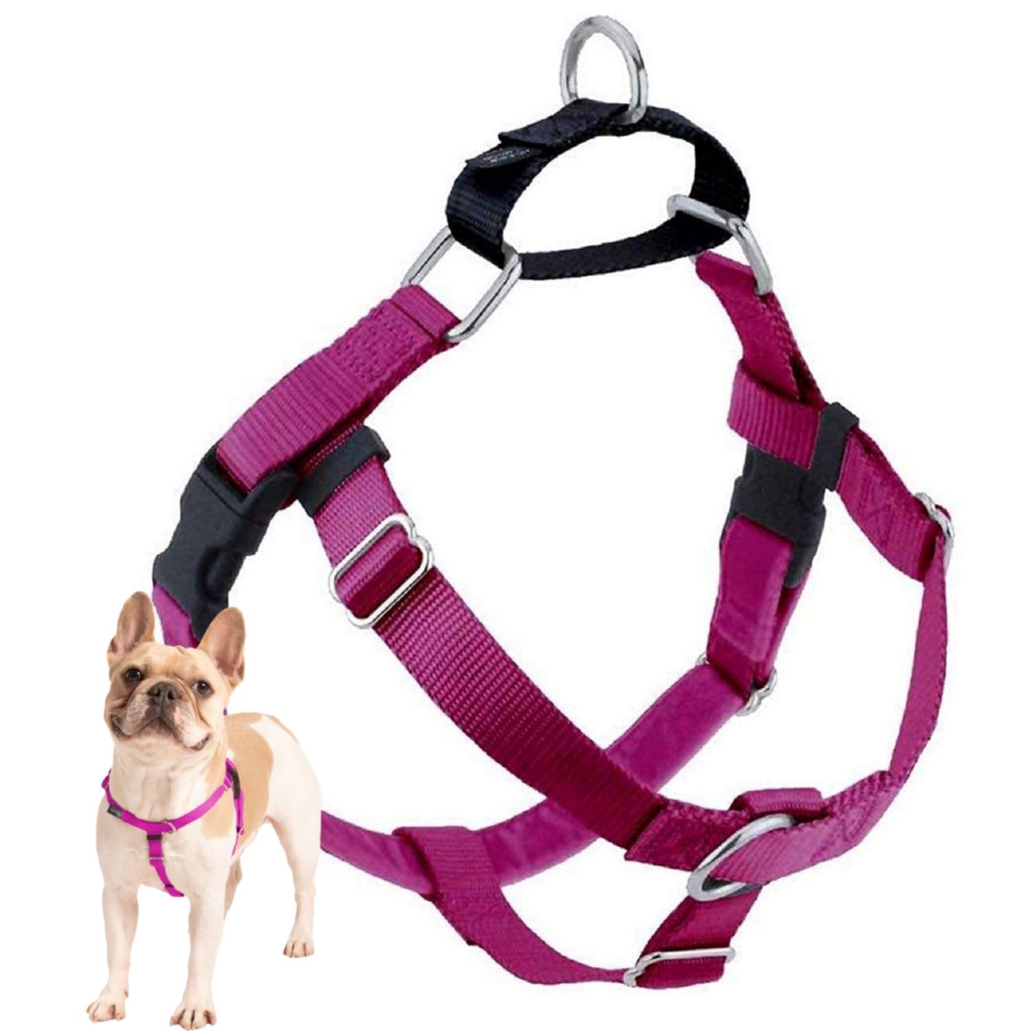 2 Hounds Design Freedom No Pull Dog Harness, Adjustable Harness, Easy Walking & Comfortable Control, Fits Small, Medium & Large Dogs, Solid Colors, Made in USA, 1" LG, Raspberry