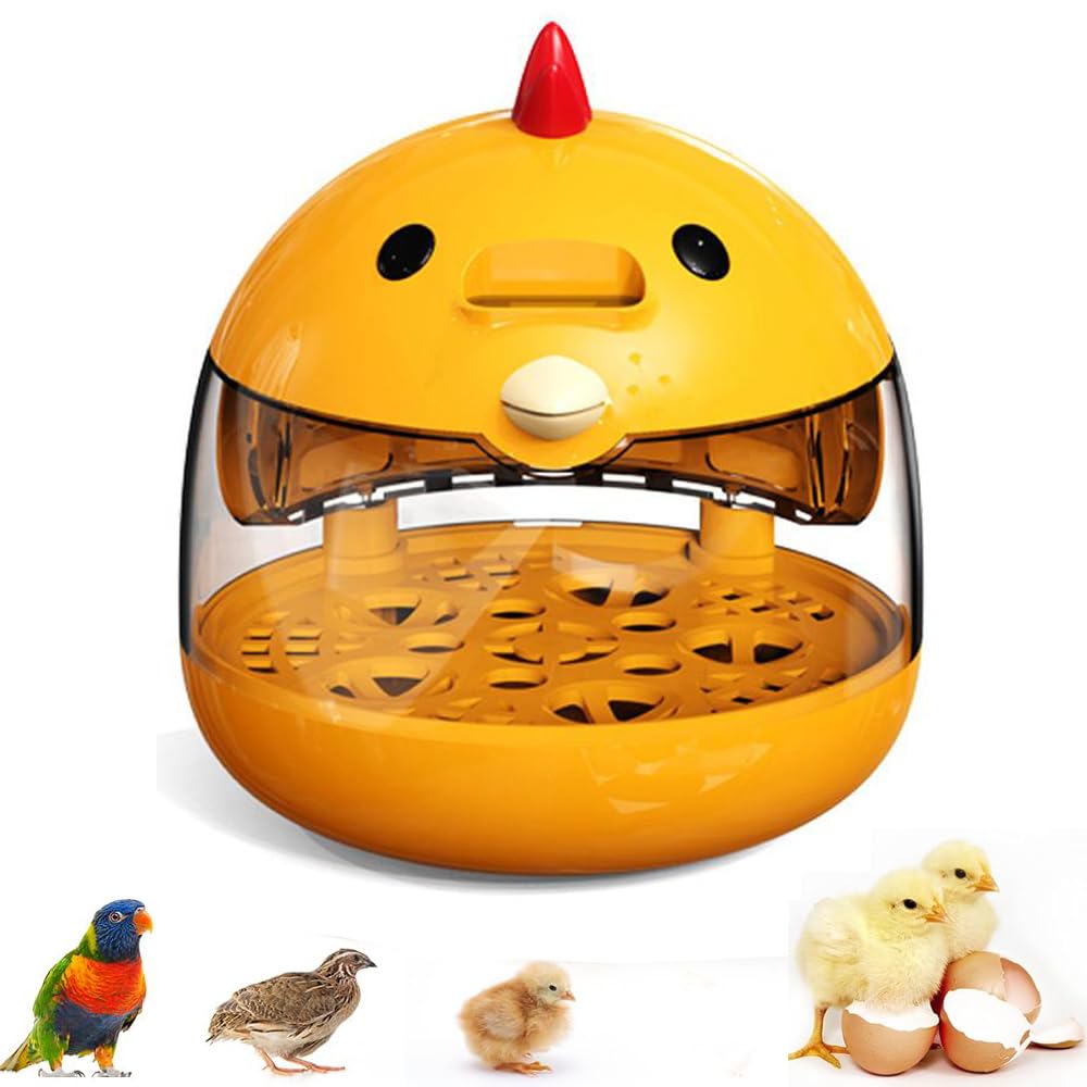 Incubateur d'œufs transparent pour observer l'éclosion des poussins en famille