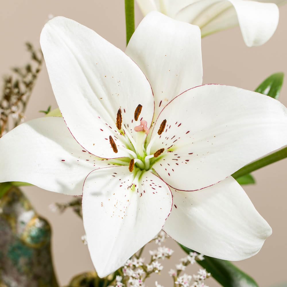YouGarden Lily 'Eyeliner', 12 x Bulbs Size 12/14, White Fragrant Summer Flowering Hardy Perennial, For Pots And Borders