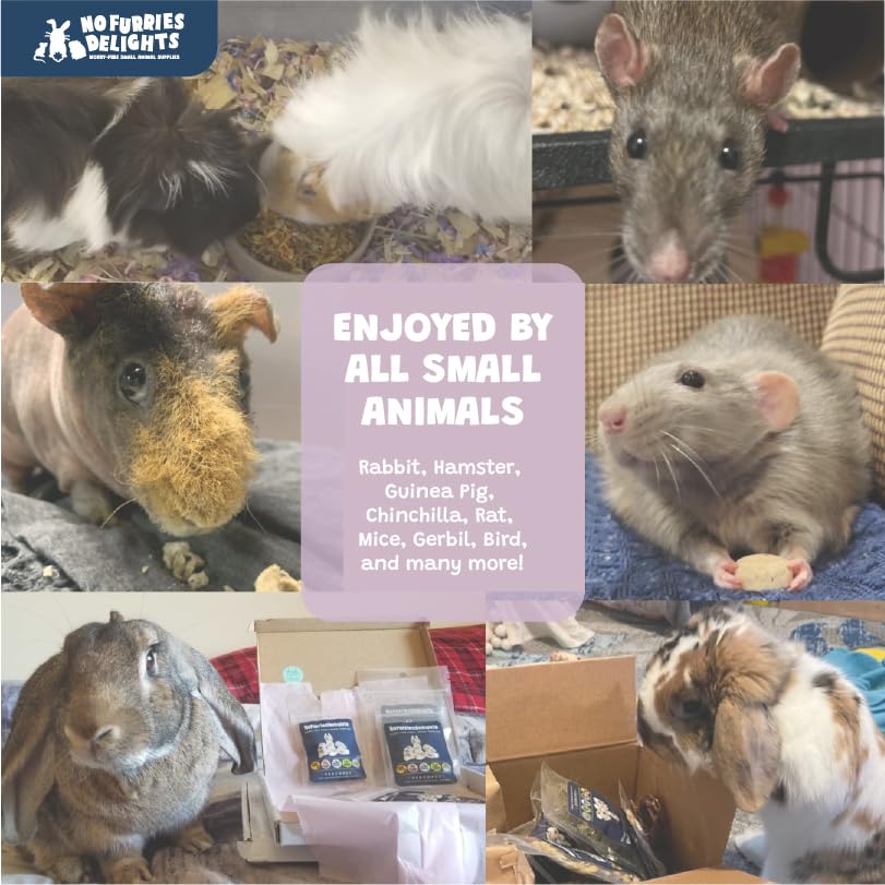 Forage Mix,100% All Natural Botanical Herb Treat for Rabbit Hamster Guinea Pig Chinchilla Chicken Hermit Crab Gerbil Degu & Other Small Animals (All in One Forage Mix 30g)