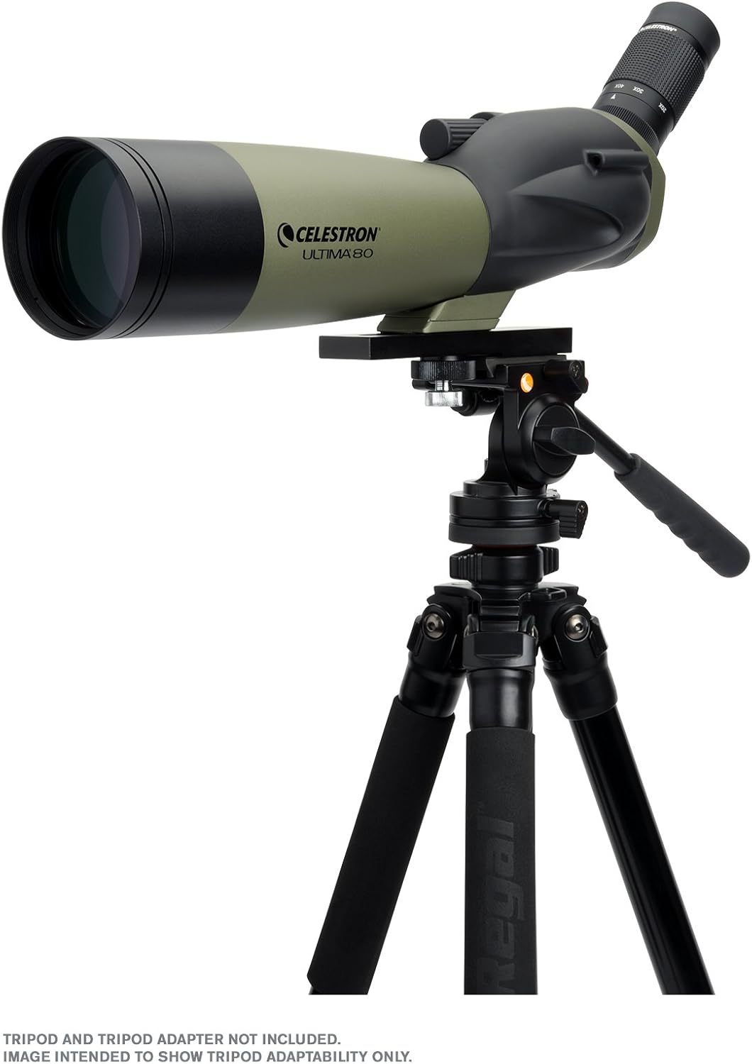 Celestron – Ultima 80 Angled Spotting Scope – 20-60x Zoom Eyepiece – Multi-coated Optics for Bird Watching, Wildlife, Scenery and Hunting – Waterproof and Fogproof – Includes Soft Carrying Case : Electronics