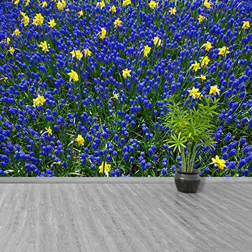 Papier peint fleurs de lupin pour masquer defauts mur maison - 5