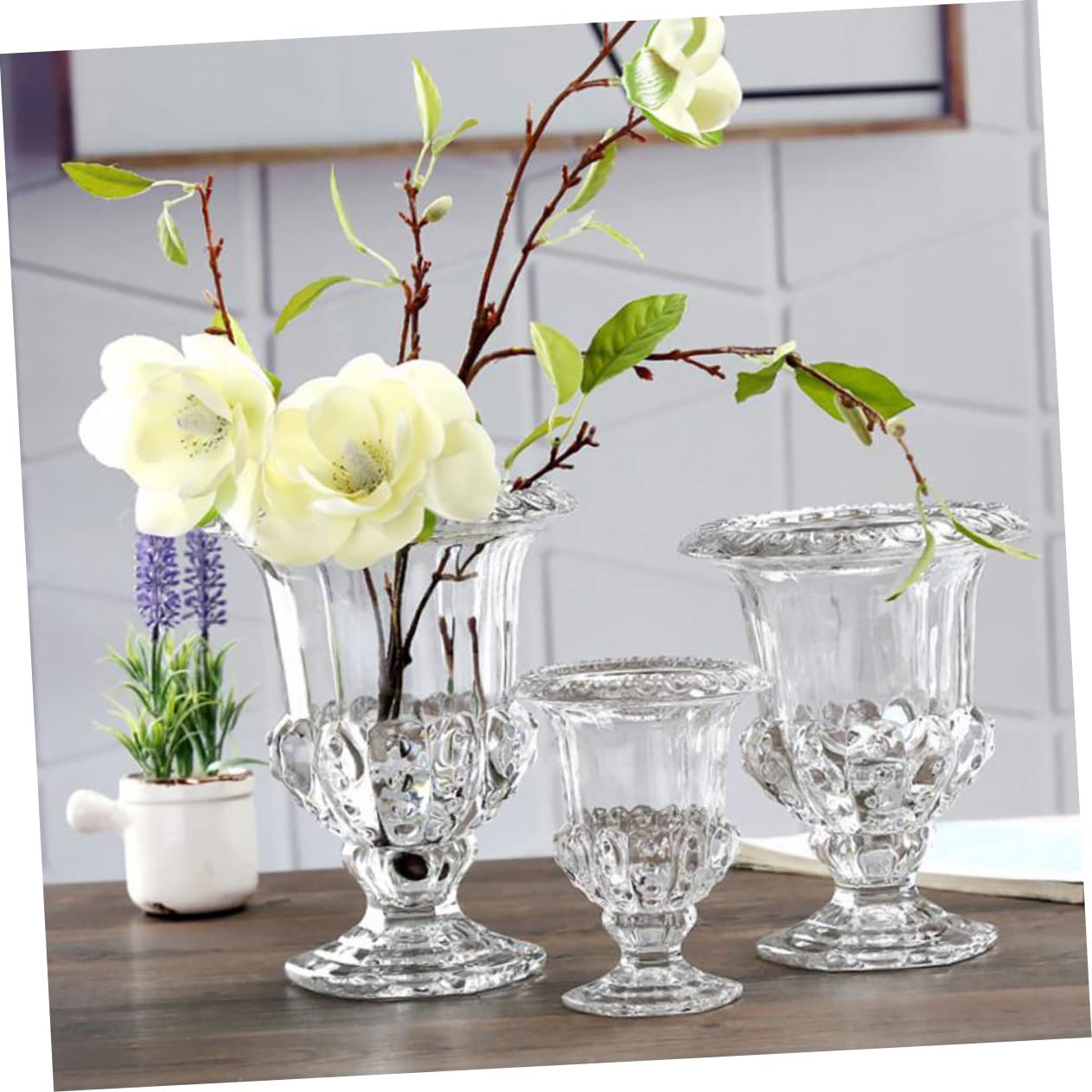 IMIKEYA Transparente Glasvase Hochzeitsvase aus Glas mit Hydroponischer Funktion für Langanhaltende Blumen Dekoration und Elegante Tischdeko bei Hochzeitsfeiern