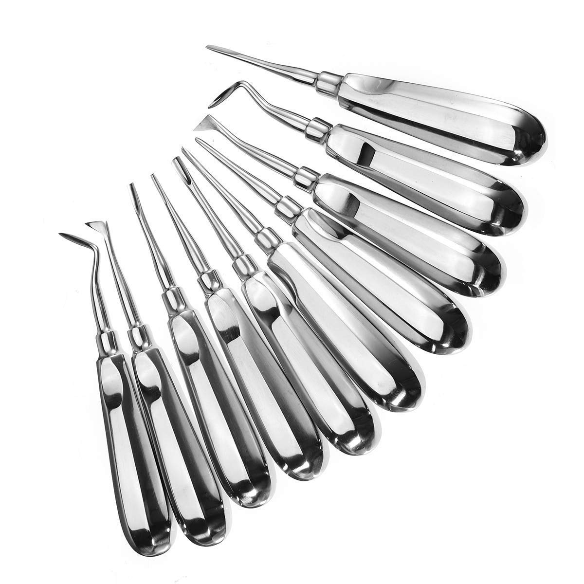 Dental Luxating Lift Elevator Teeth Clareador Curved Root Hexagon Handle Dentist Instrument Tool Set of 1 Stainless Steel-image-33