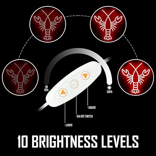 Miniatura 4 de Letrero de neón de langosta regulable rojo para decoración de pared, letrero de neón LED para dormitorio, bar, letreros de neón para hogar, club,