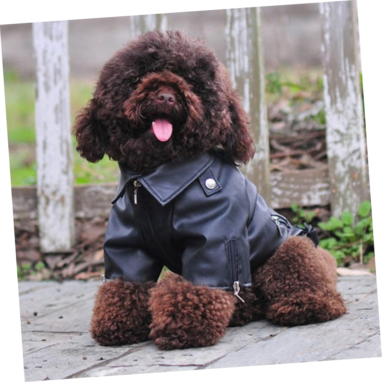 Gatuida Giacca in Pelle Pu per Cani con Chiusura Zip Cappotto Invernale Antivento Caldo per Piccoli Animali Abbigliamento per Animali Nero