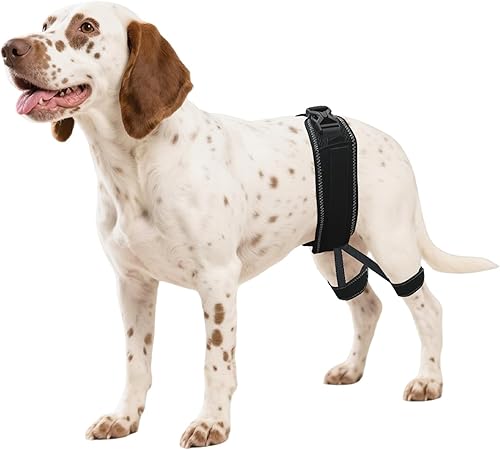 Soporte ortopédico de cadera para perro, soporte para displasia de cadera para perro, soporte para displasia de cadera, artritis, rótula luxante,