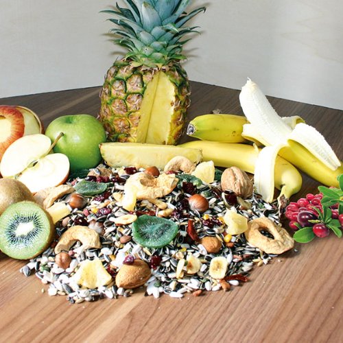Wagner's | Premium Futter für Aras - 5 kg Körnerfuuter mit Obst & Nüssen