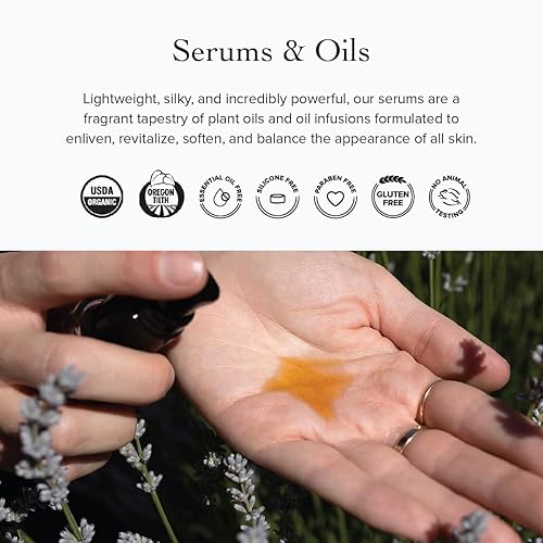 Miniatura 4 de evanhealy Aceite de semilla de rosa mosqueta silvestre chileno | Aceite de rosa mosqueta orgánico 100% puro cosechado en la naturaleza | Aceite