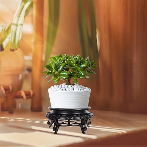 Miniatura 4 de 1 estante de exhibición decorativo para plantas en maceta, soporte tallado para macetas para el hogar y la oficina, elegante base de plantas para
