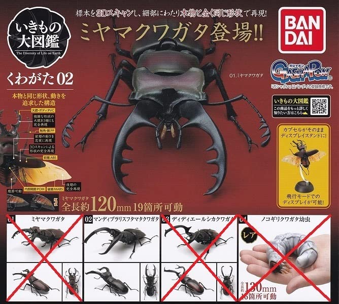 Amazon.co.jp: いきもの大図鑑 くわがた 02 2個 セット