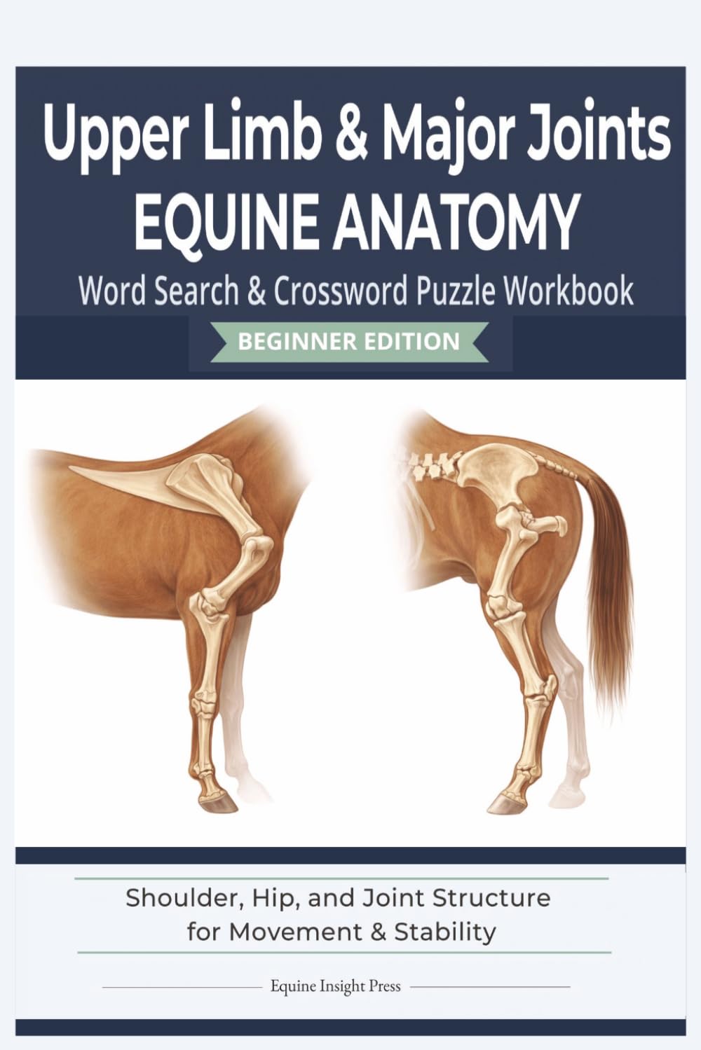 Equine Upper Limb & Major Joints Anatomy Puzzle Book: Equine Anatomy - Shoulder, Hip, and Joint Structure for Movement | 6x9 | 126 pages