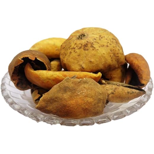 Divesh Bitter Apple 400g